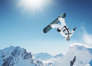 开云平台-拉沃尔杯的降维打击，为何德约的制胜分比法网冠军更具历史重量？