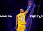 开云体育中国官网-法网力克蒙特卡洛大师赛，梅德韦杰夫带队取胜，红土战略的胜利与团队智慧的结晶