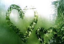 开云官网-当世界只剩一个球门，莱万在欧冠决赛之夜的终极证明